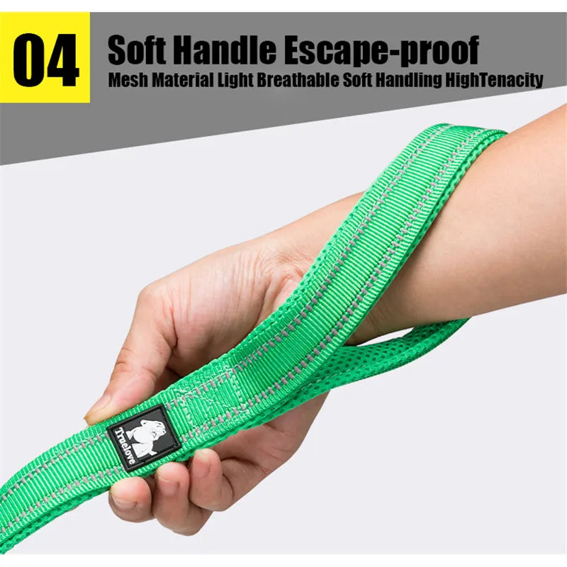 Soft Reflective Padded Nylon Dog Leash For Walking And Training