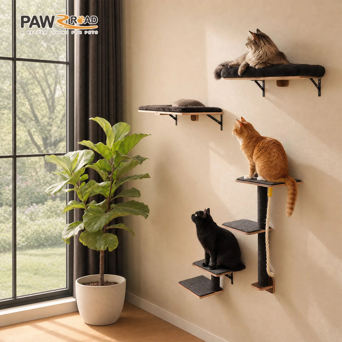 Modern Wooden Cat Wall Climbing Shelves With Sisal Scratching Posts