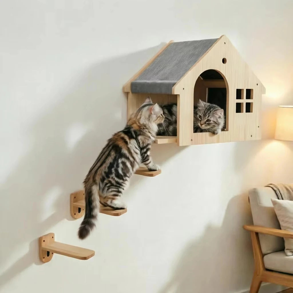 Wall Mounted Wooden Cat Condo And Climbing Shelf For Resting