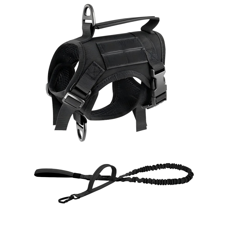 Adjustable Tactical Cat Harness And Leash Set With Escape Proof Quick Release
