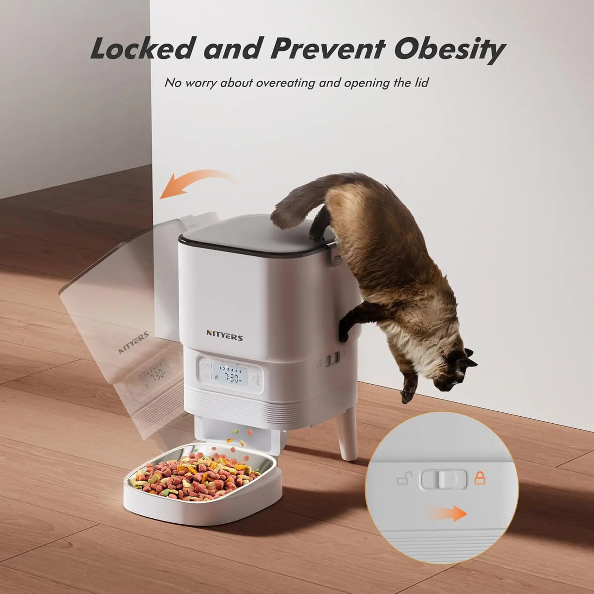 Automatic Timed Pet Feeder With Stainless Steel Bowl and Portion Control