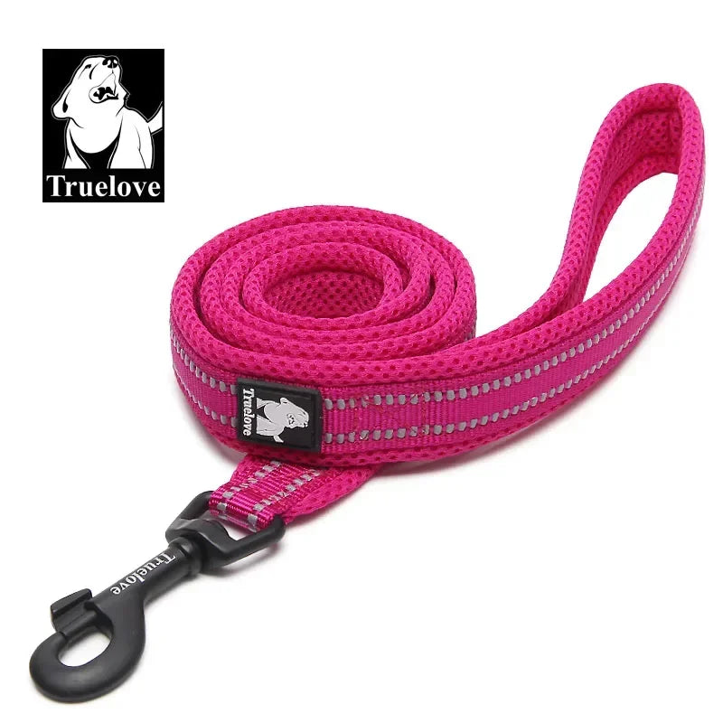 Soft Reflective Padded Nylon Dog Leash For Walking And Training
