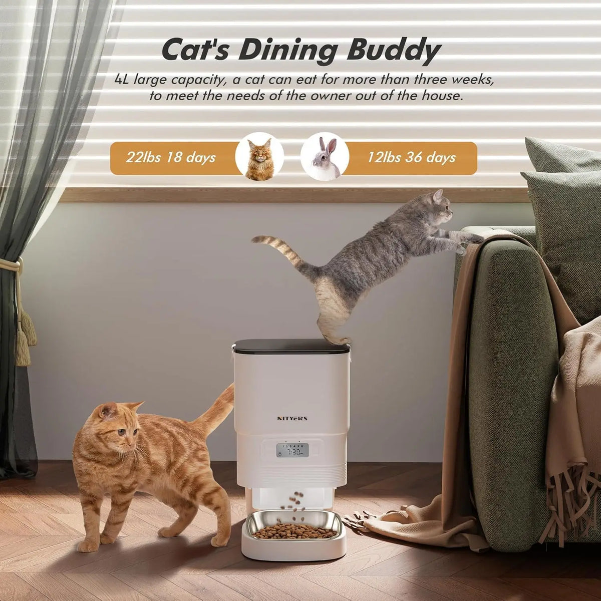 Automatic Timed Pet Feeder With Stainless Steel Bowl and Portion Control