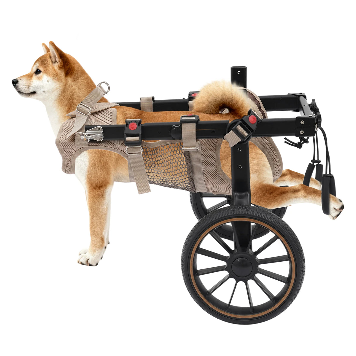 Adjustable Two Wheel Dog Wheelchair For Hind Leg Support And Mobility
