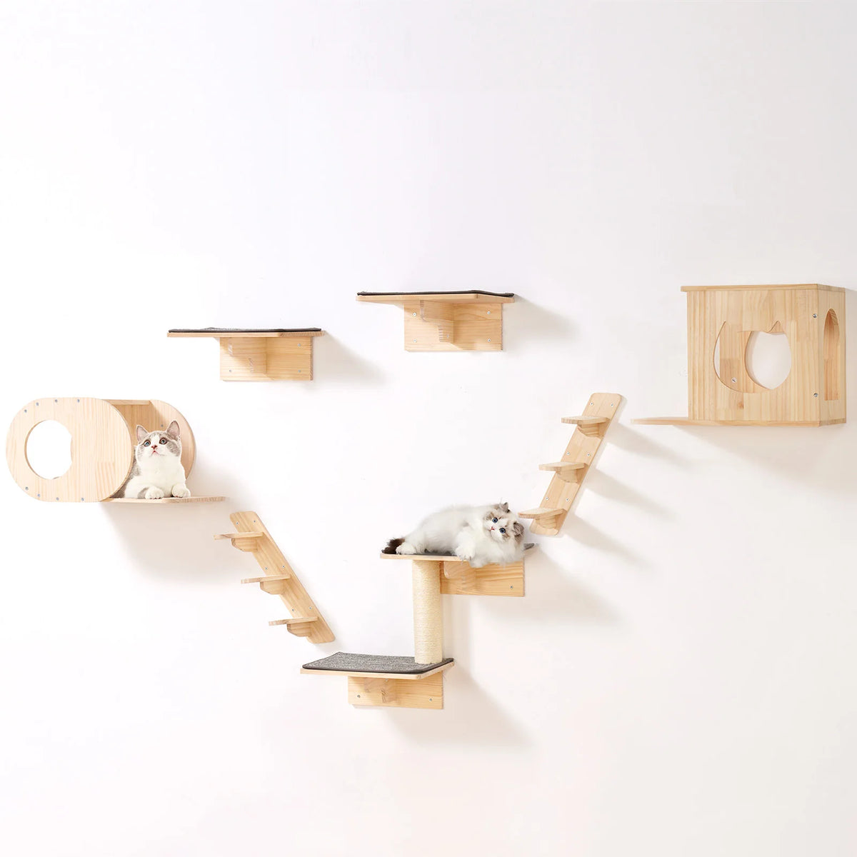 Dual Tier Wooden Wall Mounted Cat Shelves With Jumping Board Platform
