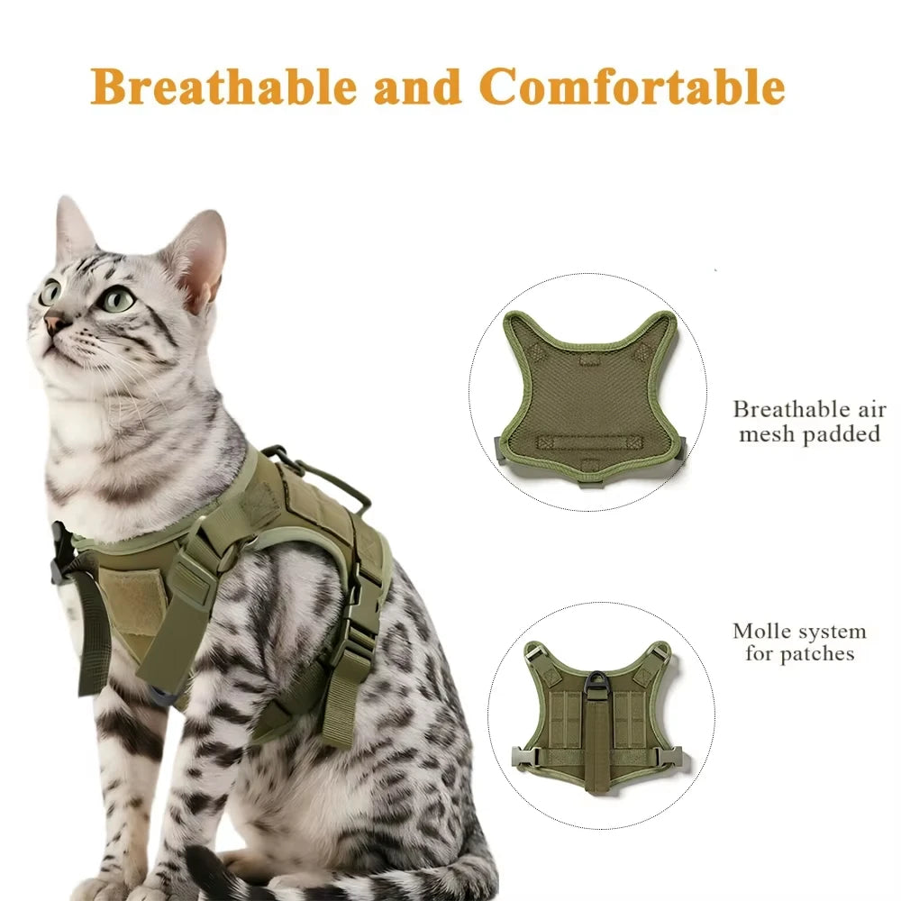Adjustable Tactical Cat Harness And Leash Set With Escape Proof Quick Release