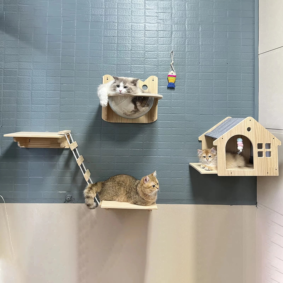 Wall Mounted Wooden Cat Condo And Climbing Shelf For Resting