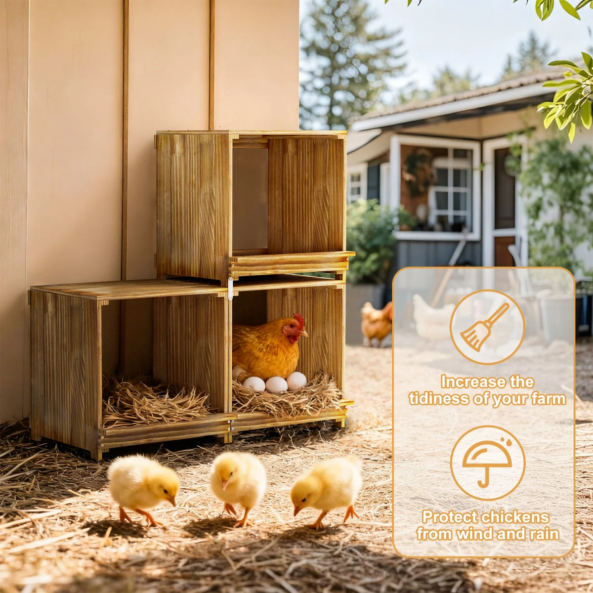 Three Compartment Pine Wood Chicken Nesting Box With Tray