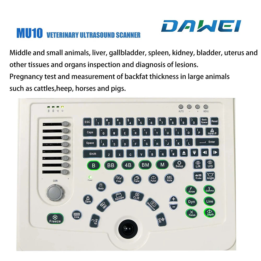 Portable Veterinary Ultrasound Scanner For Pet Pregnancy Detection