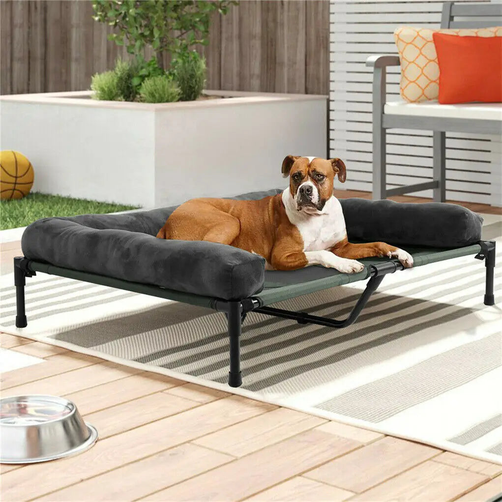 Cooling Elevated Pet Lounger With Detachable Bolster For Dogs And Cats