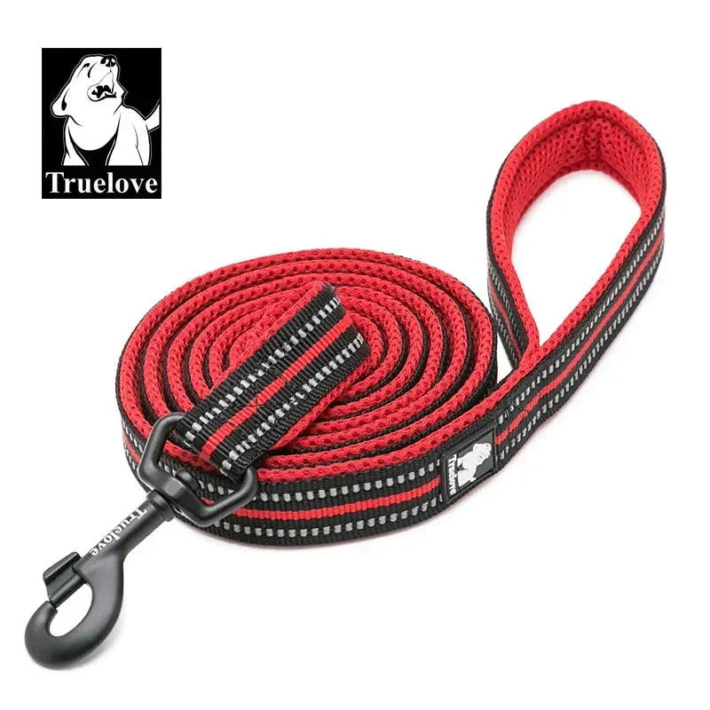 Soft Reflective Padded Nylon Dog Leash For Walking And Training