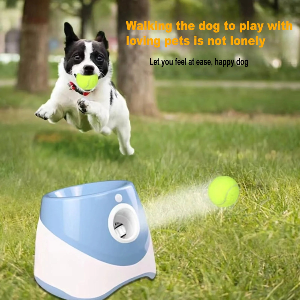 Automatic Dog Ball Launcher With Tennis Balls For Indoor Outdoor
