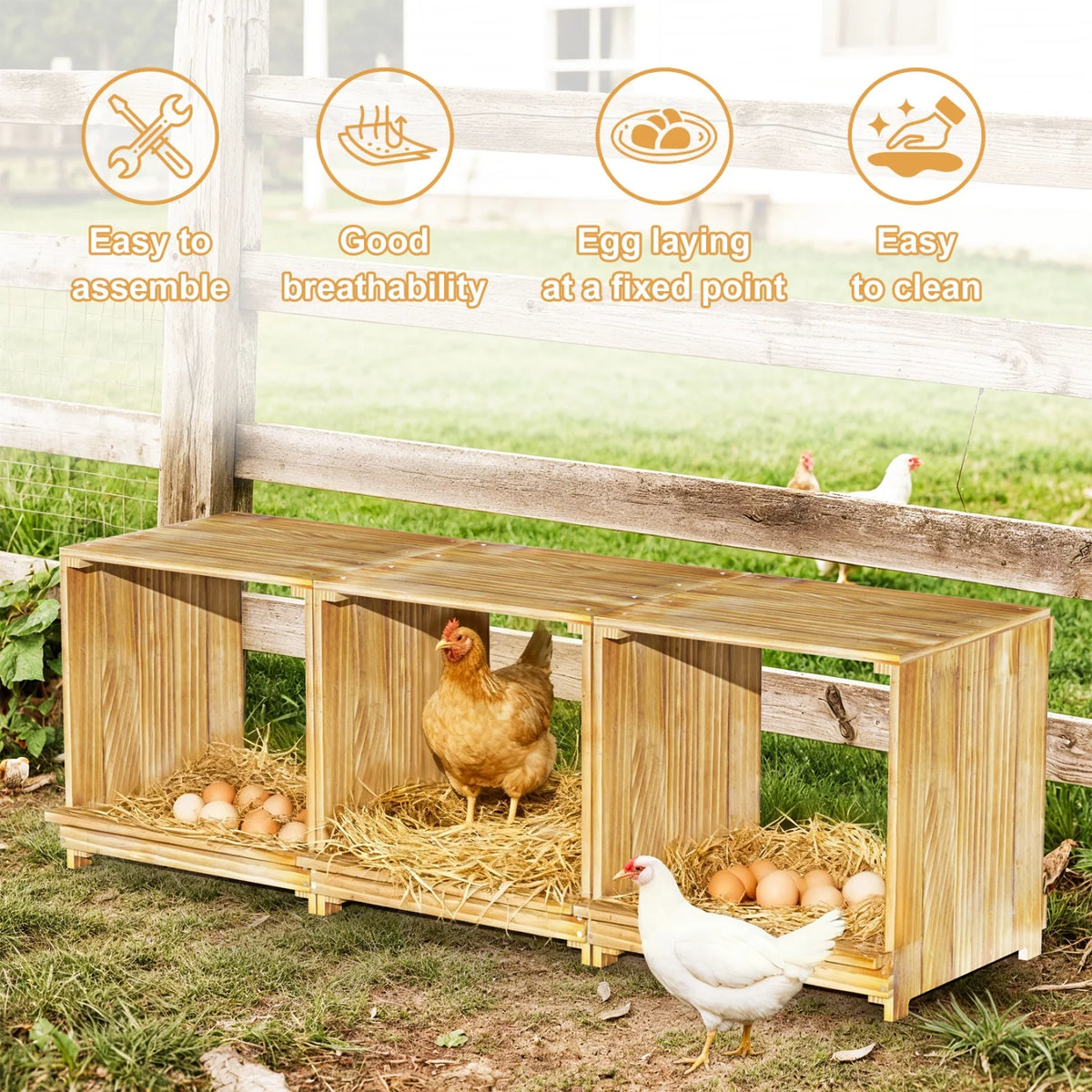 Three Compartment Pine Wood Chicken Nesting Box With Tray