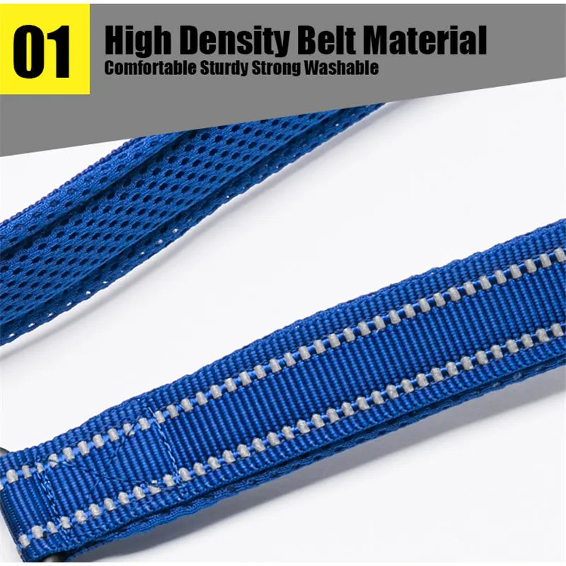 Soft Reflective Padded Nylon Dog Leash For Walking And Training