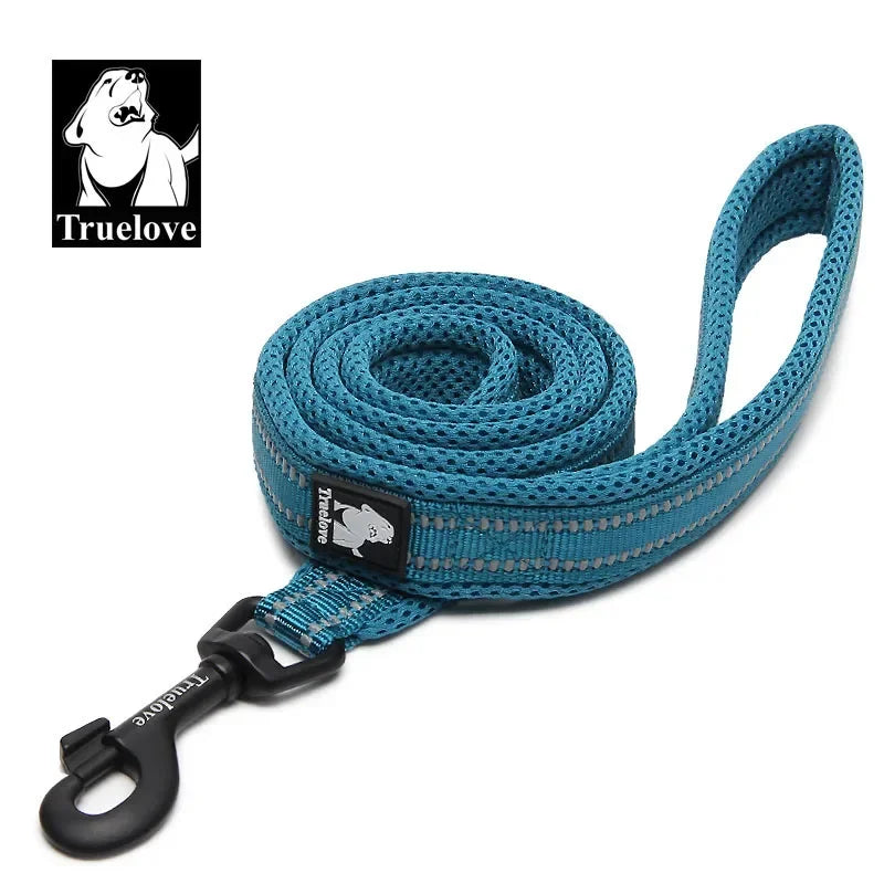 Soft Reflective Padded Nylon Dog Leash For Walking And Training
