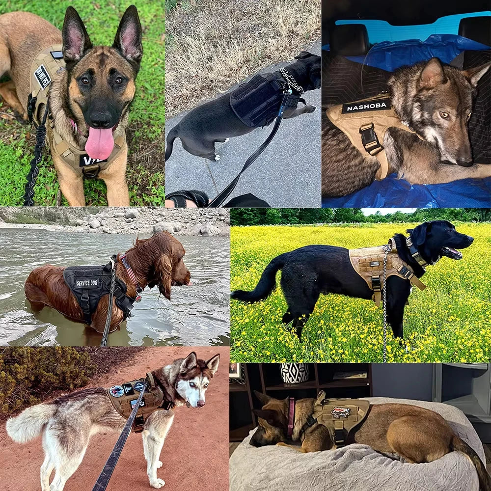 Tactical Dog Harness Vest Training Gear With Quick Release And Padding