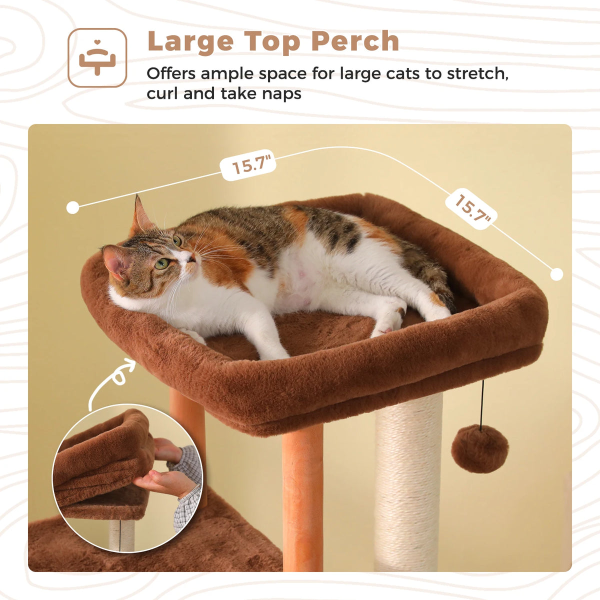 Modern Multi Level Cat Tree with Condo Sisal Scratching Posts and Bed