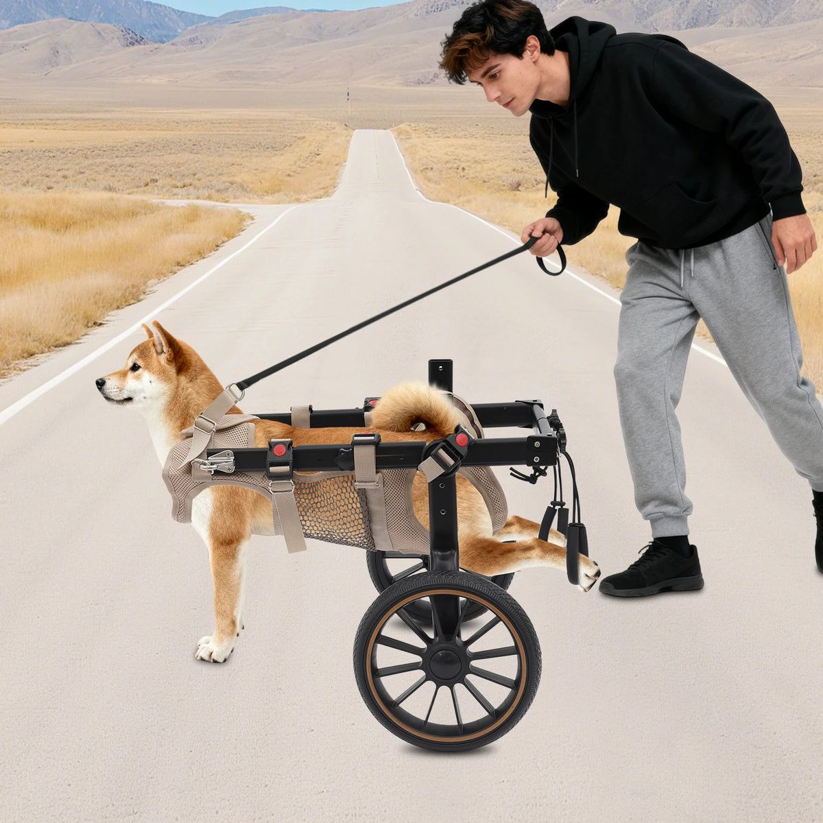 Adjustable Two Wheel Dog Wheelchair For Hind Leg Support And Mobility