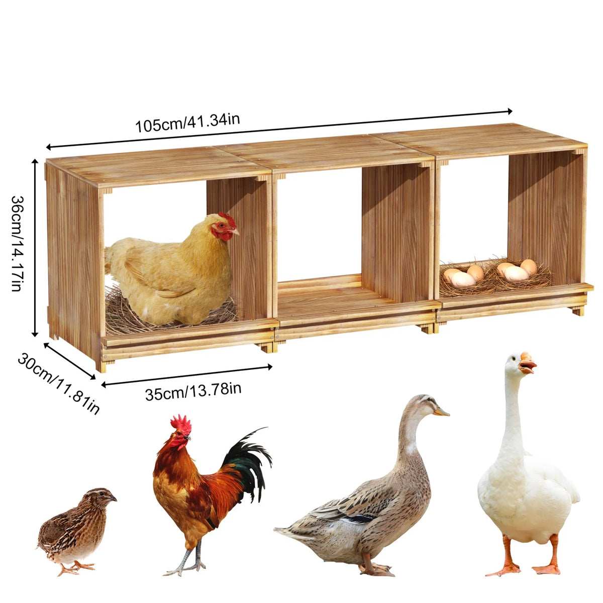 Three Compartment Pine Wood Chicken Nesting Box With Tray