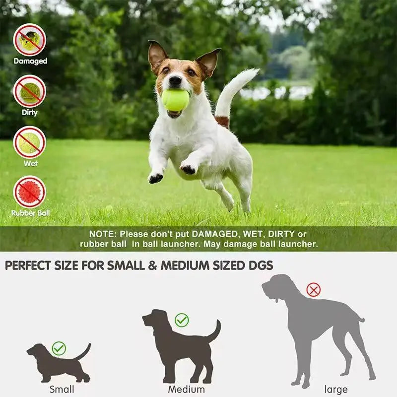 Automatic Rechargeable Dog Ball Launcher With Tennis Balls