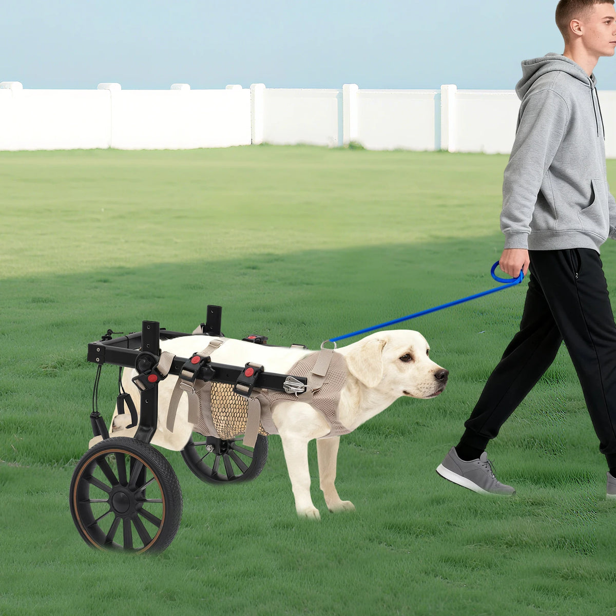 Adjustable Two Wheel Dog Wheelchair For Hind Leg Support And Mobility