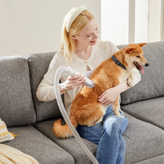 Professional Pet Grooming Clipper And Low Noise Vacuum Kit
