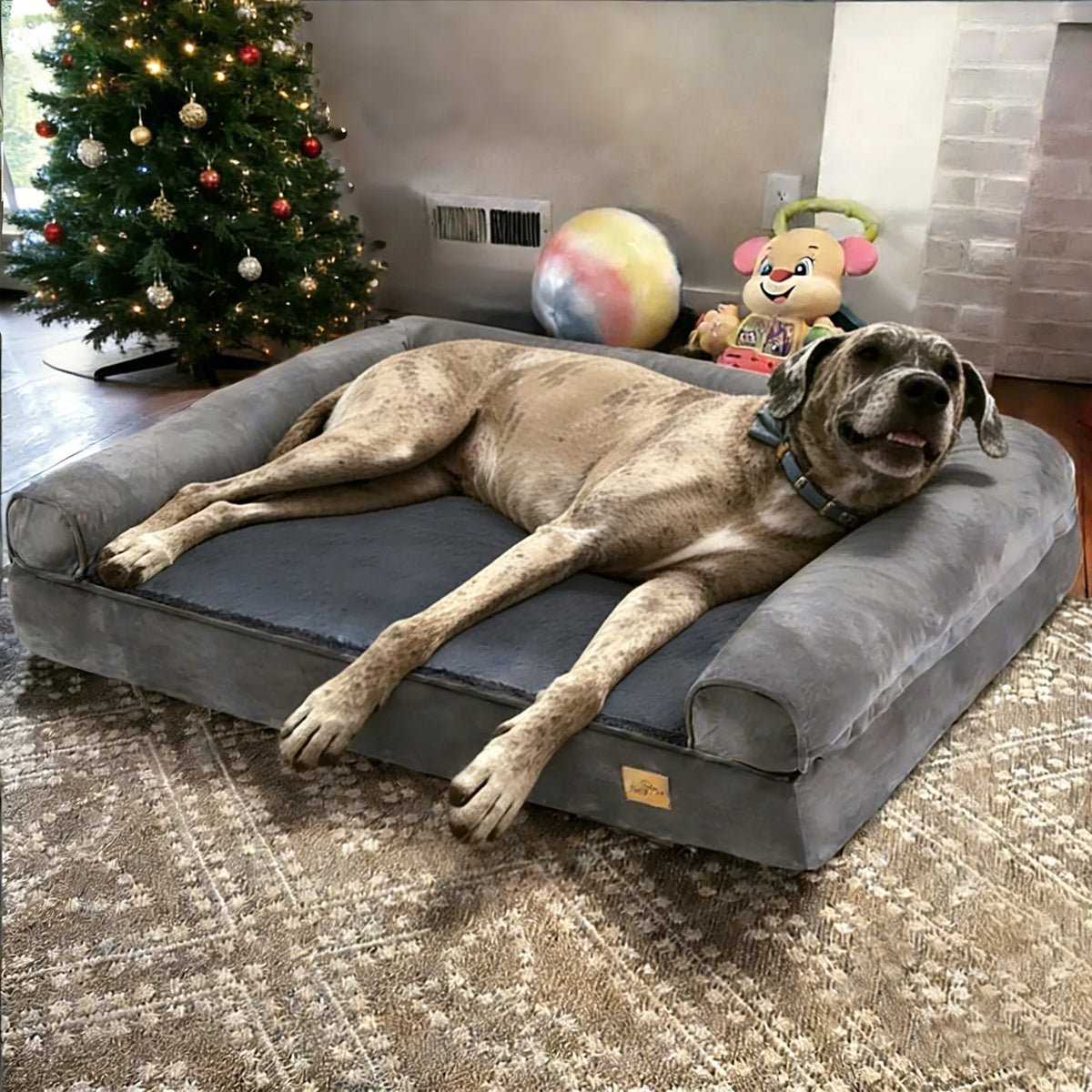 Calming Orthopedic Memory Foam Dog Bed With Plush Removable Sofa Cover