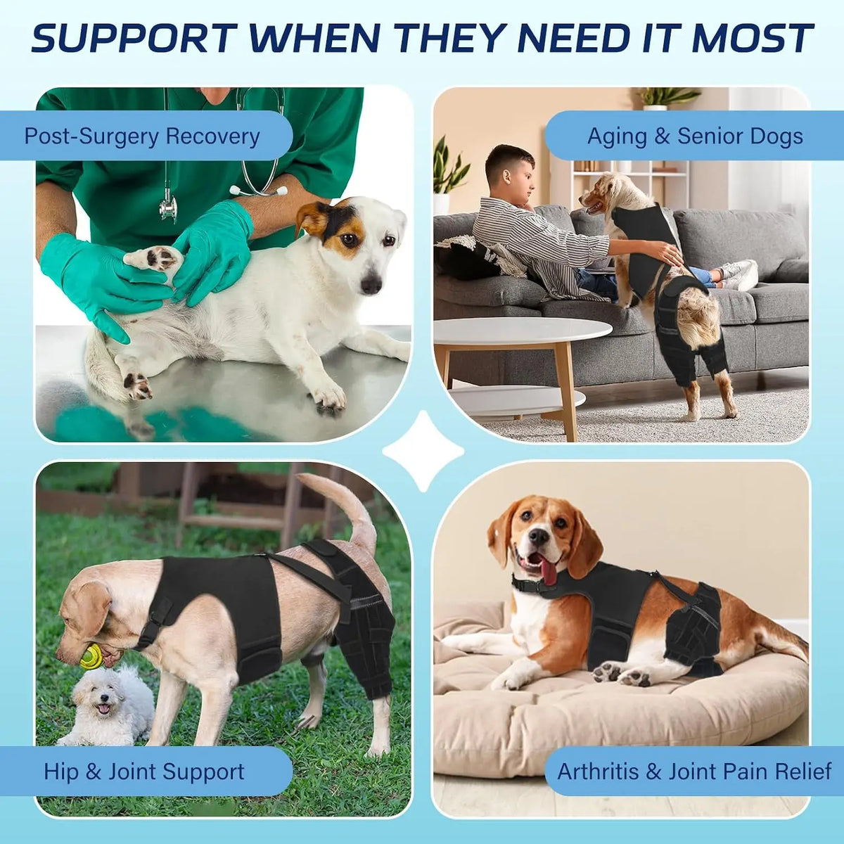 Dog Knee Brace Stabilizer With Adjustable Straps For Acl Injuries