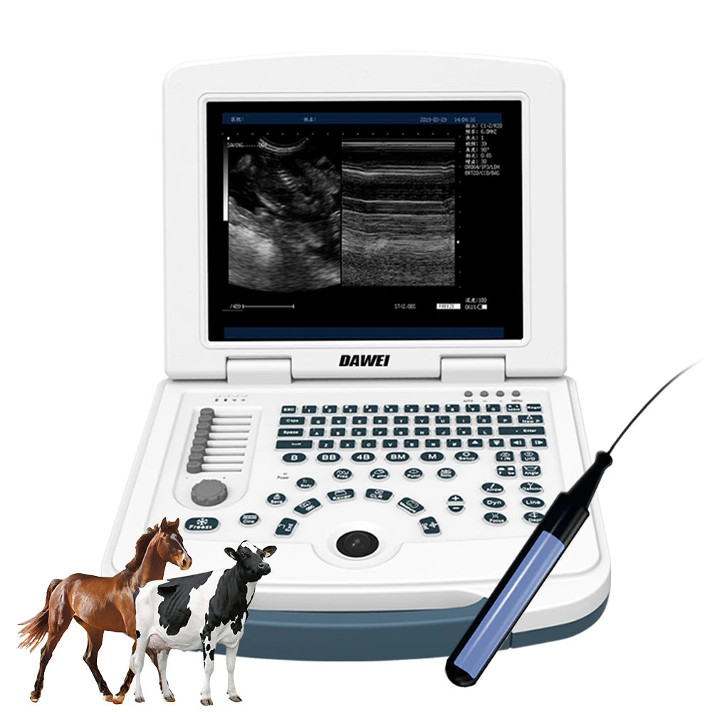 Portable Veterinary Ultrasound Scanner For Pet Pregnancy Detection