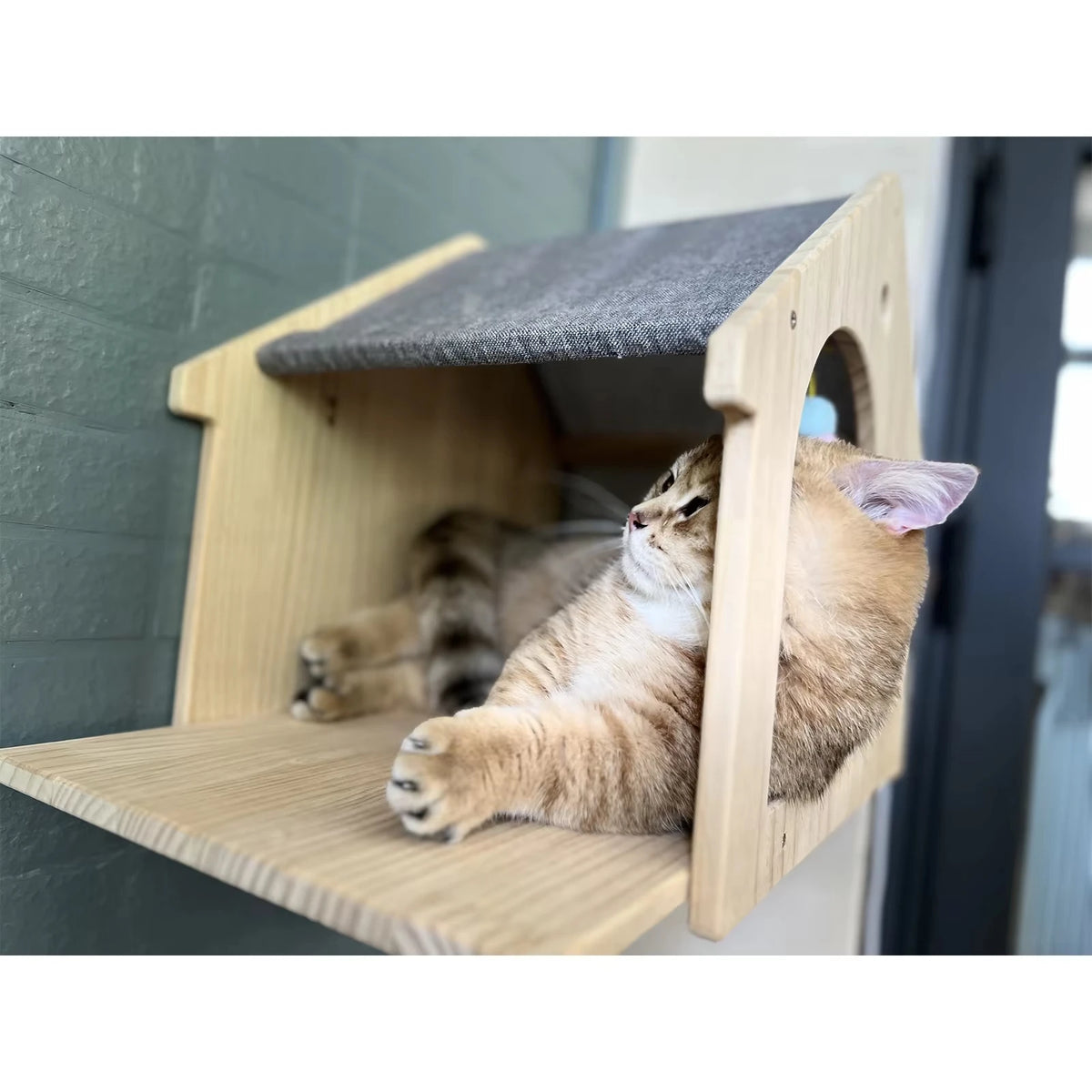Wall Mounted Wooden Cat Condo And Climbing Shelf For Resting