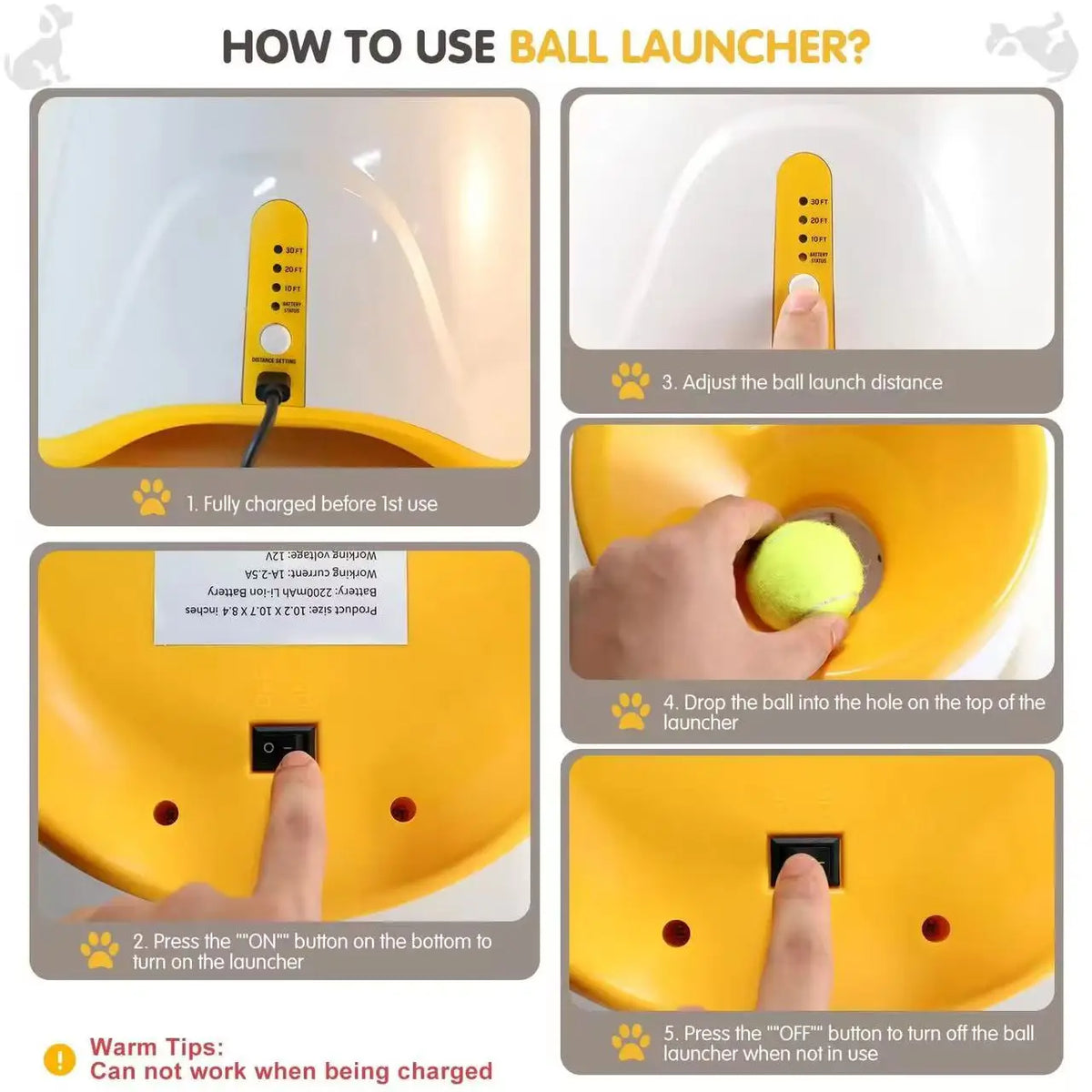 Automatic Rechargeable Dog Ball Launcher With Tennis Balls