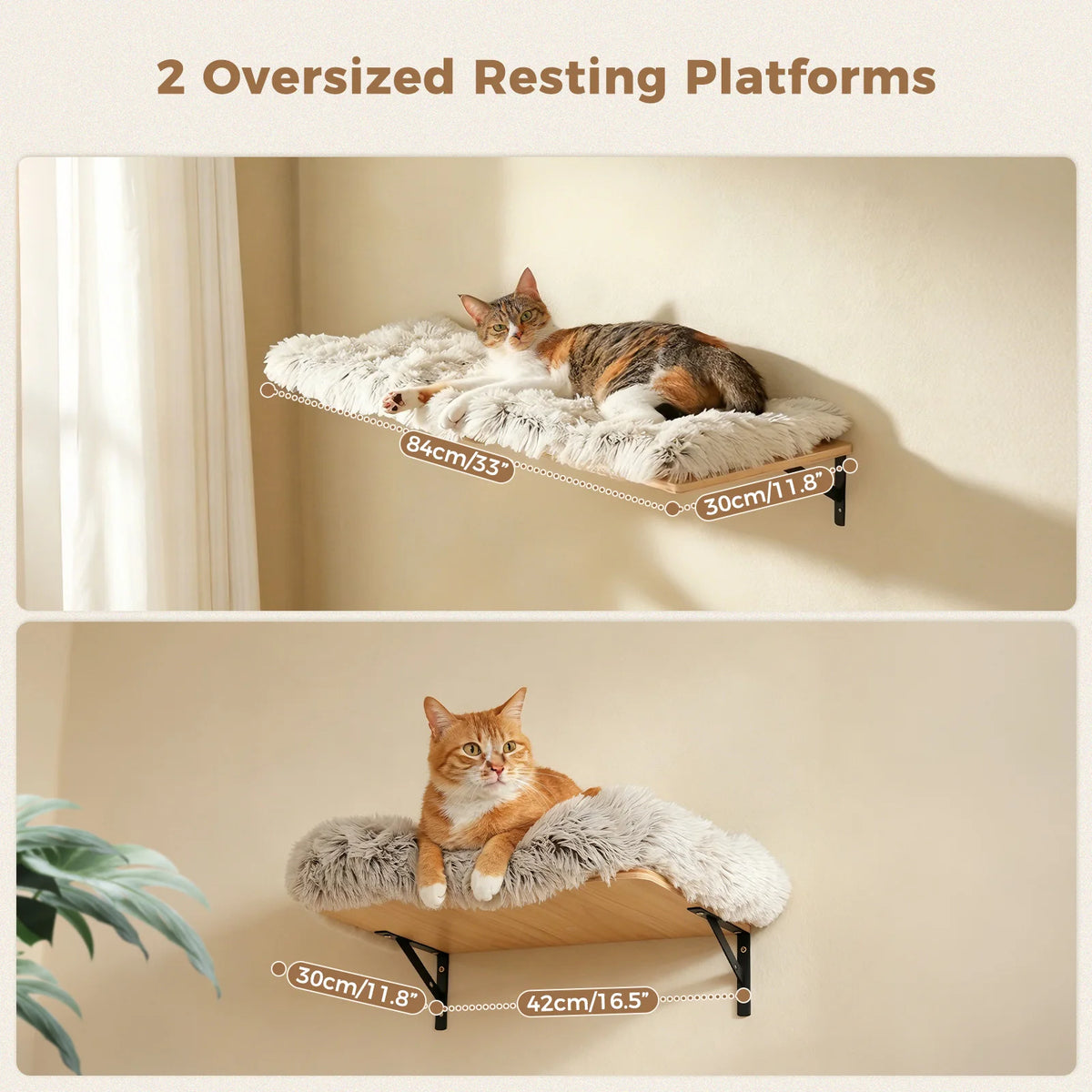 Modern Wooden Cat Wall Climbing Shelves With Sisal Scratching Posts