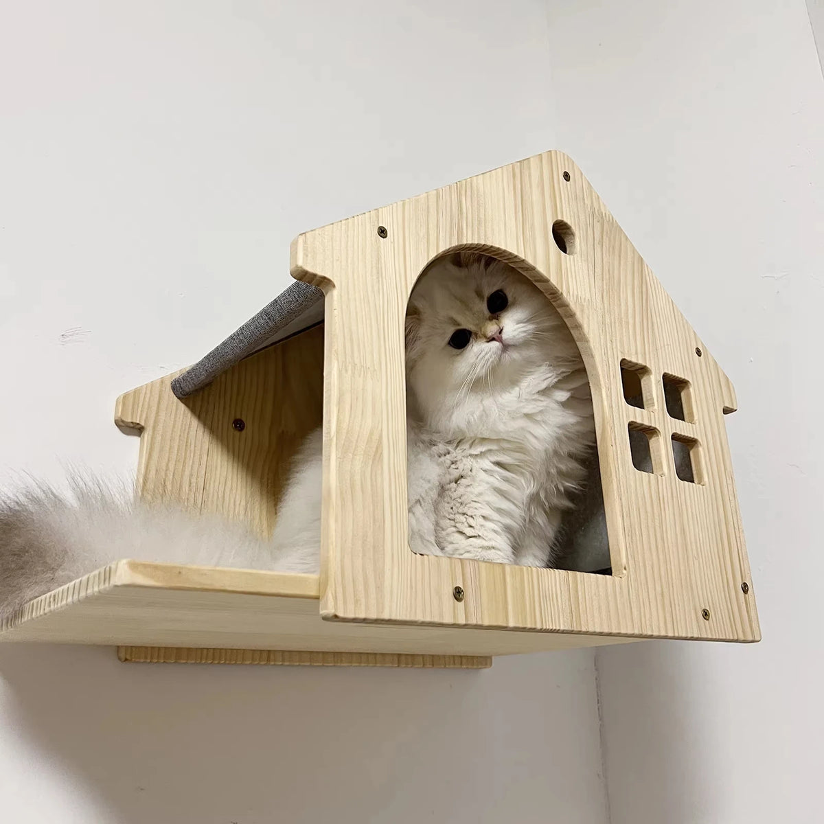 Wall Mounted Wooden Cat Condo And Climbing Shelf For Resting