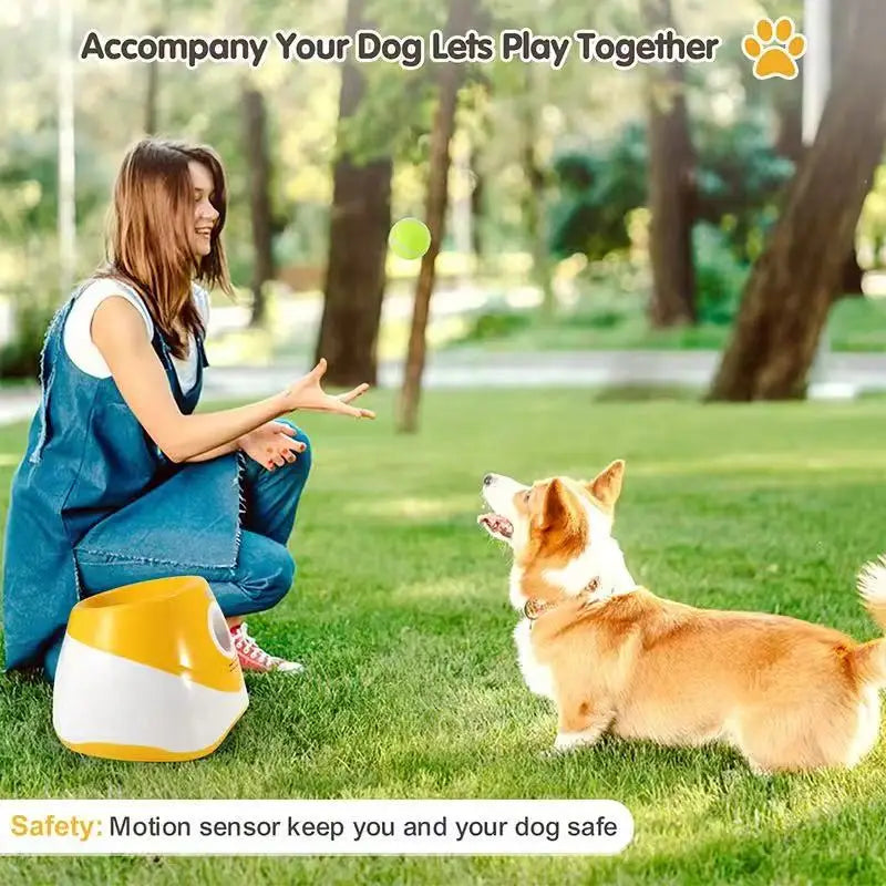 Automatic Rechargeable Dog Ball Launcher With Tennis Balls