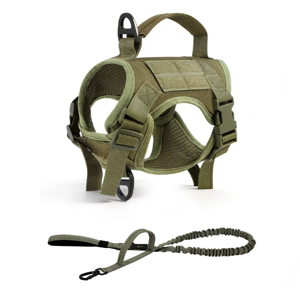 Adjustable Tactical Cat Harness And Leash Set With Escape Proof Quick Release