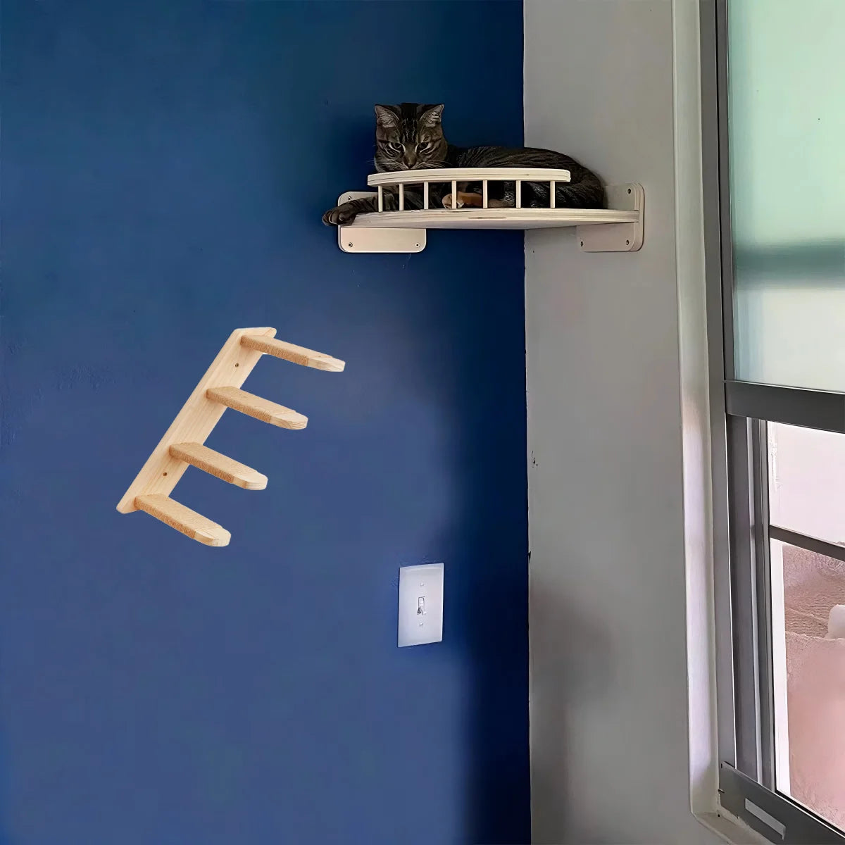 Wall Mounted Pine Wood Cat Hammock Set With Steps For Indoor Cats
