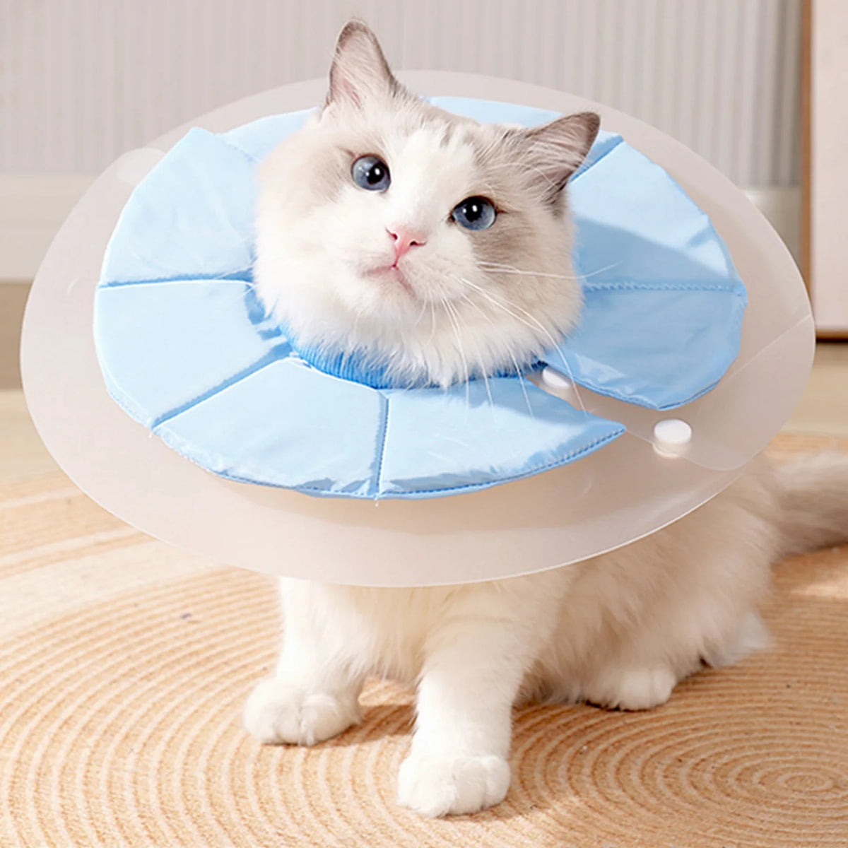 Soft Cat Recovery Collar with Adjustable Dual Wear Design, Protective Elizabethan Cone for Cats
