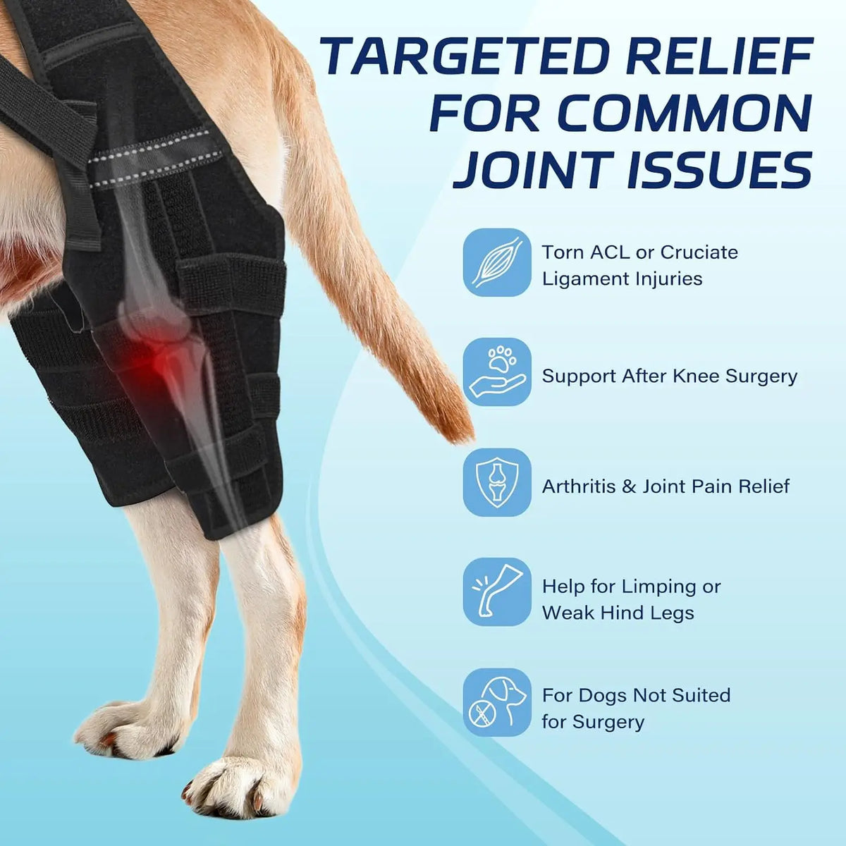 Dog Knee Brace Stabilizer With Adjustable Straps For Acl Injuries
