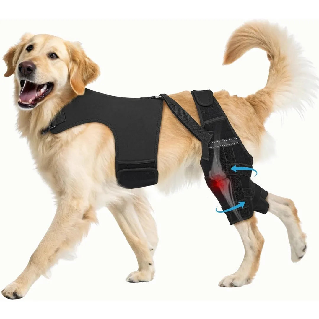Dog Knee Brace Stabilizer With Adjustable Straps For Acl Injuries
