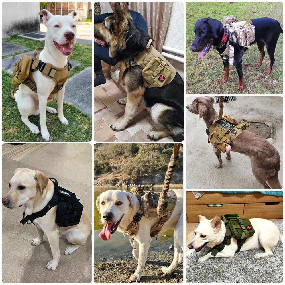 Tactical Dog Harness Leash Set With Padded Handle For Large Dogs
