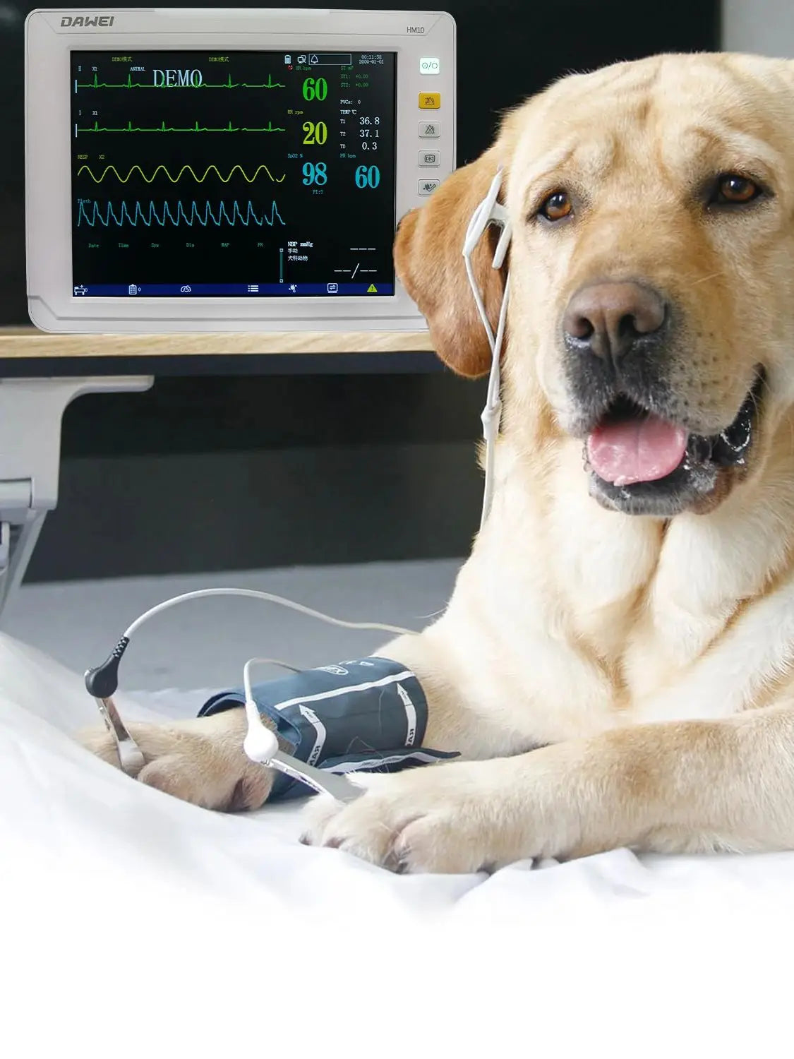 Portable Veterinary Patient Monitor For Dogs Cats ECG SpO2 NIBP