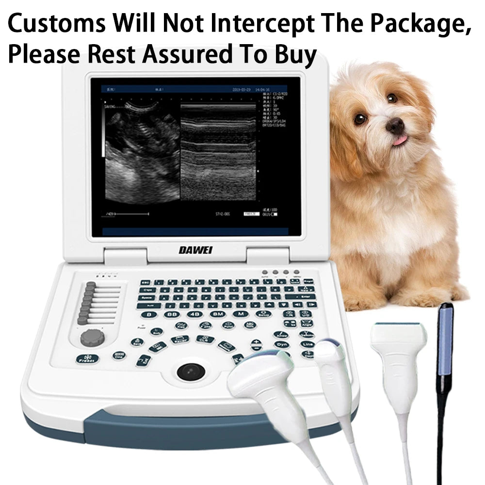 Portable Veterinary Ultrasound Scanner For Pet Pregnancy Detection