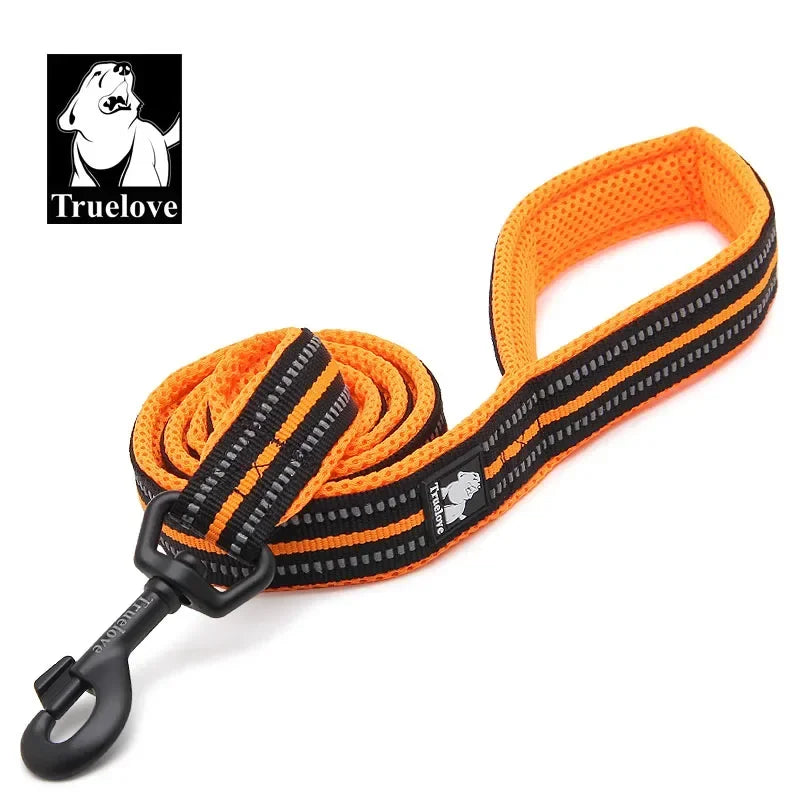 Soft Reflective Padded Nylon Dog Leash For Walking And Training